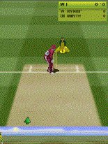 game pic for Brain Lara Cricket